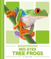 Cover image for Red-Eyed Tree Frogs