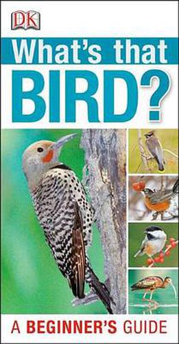 Cover image for What's that Bird?: A Beginner's Guide
