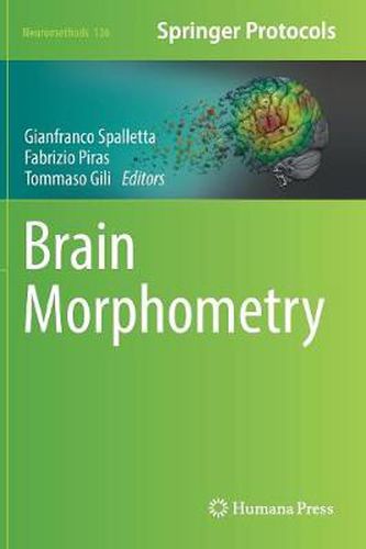 Cover image for Brain Morphometry