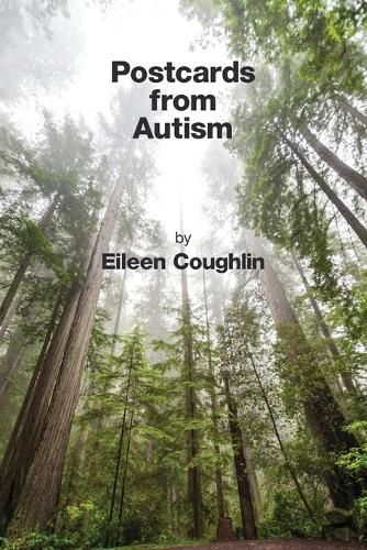 Cover image for Postcards from Autism