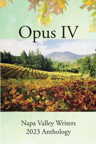 Cover image for Opus IV