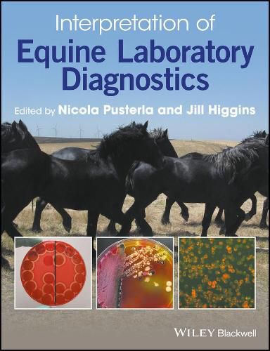 Cover image for Interpretation of Equine Laboratory Diagnostics