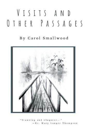 Cover image for Visits and Other Passages