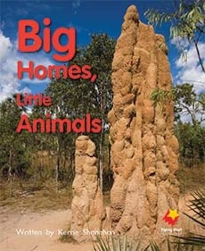 Cover image for Big Homes, Little Animals