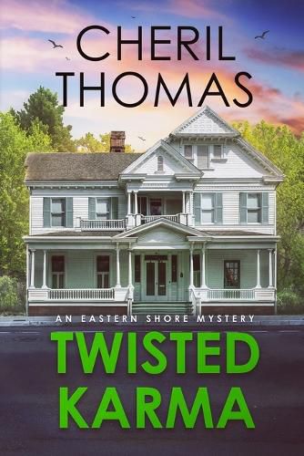 Cover image for Twisted Karma