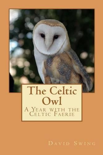 Cover image for The Celtic Owl: A Year with the Celtic Faerie