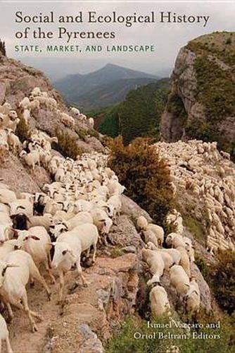 Cover image for Social and Ecological History of the Pyrenees: State, Market, and Landscape