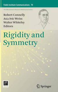 Cover image for Rigidity and Symmetry
