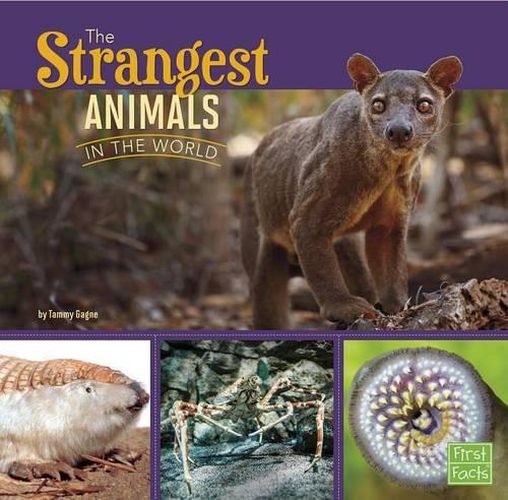 Cover image for Strangest Animals