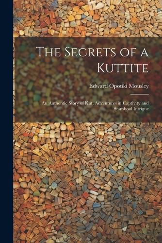 Cover image for The Secrets of a Kuttite