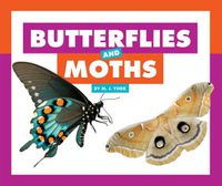 Cover image for Butterflies and Moths