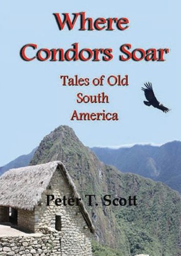 Cover image for Where Condors Soar