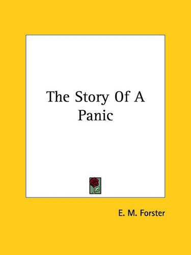 Cover image for The Story of a Panic