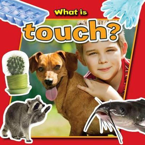 What Is Touch?