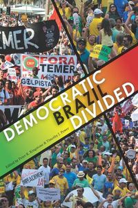 Cover image for Democratic Brazil Divided