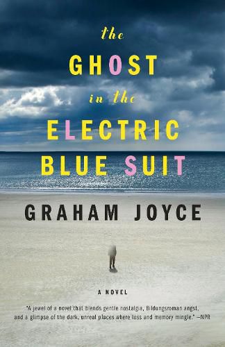 Cover image for The Ghost in the Electric Blue Suit