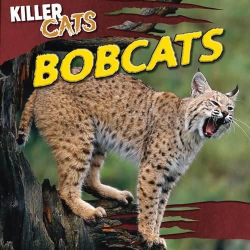 Cover image for Bobcats