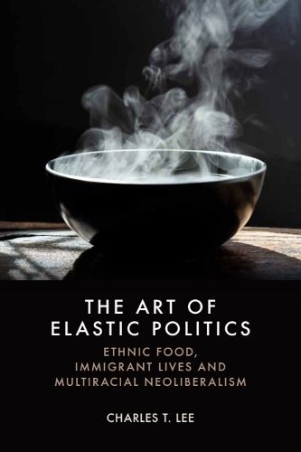 Cover image for The Art of Elastic Politics