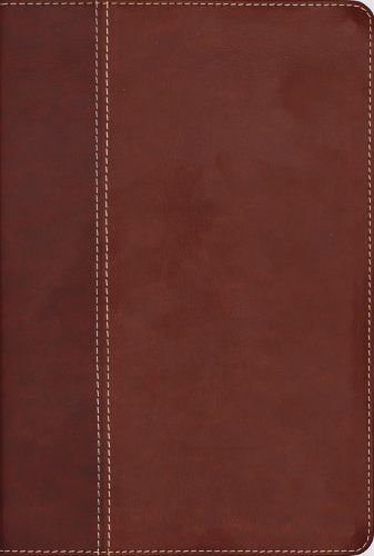 Cover image for NIV, Cultural Backgrounds Study Bible (Context Changes Everything), Leathersoft, Brown, Red Letter, Thumb Indexed