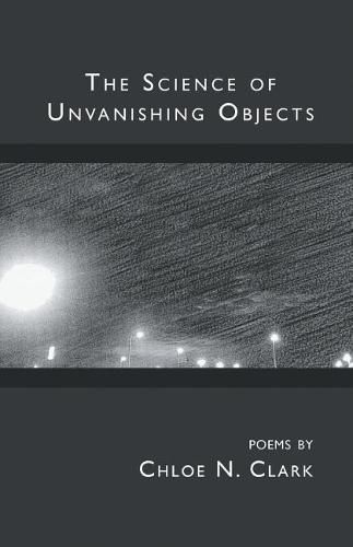 Cover image for The Science of Unvanishing Objects