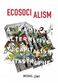 Cover image for Ecosocialism: A Radical Alternative to Capitalist Catastrophe