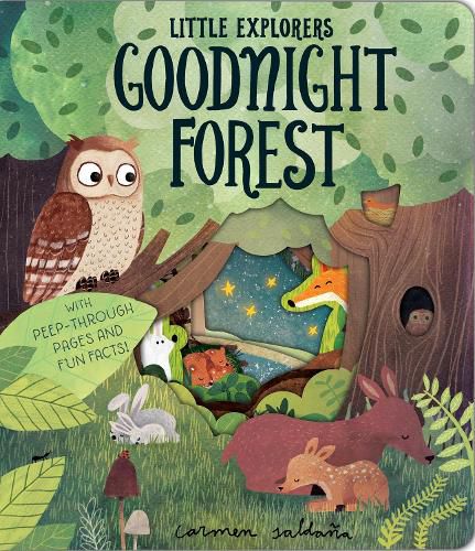 Cover image for Goodnight Forest