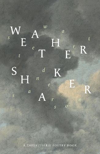 Cover image for Weathershaker