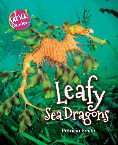 Cover image for Leafy Sea Dragons