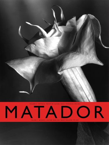 Cover image for Matador R