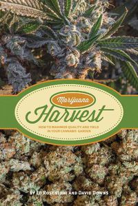 Cover image for Marijuana Harvest: How to Maximize Quality and Yield in Your Cannabis Garden