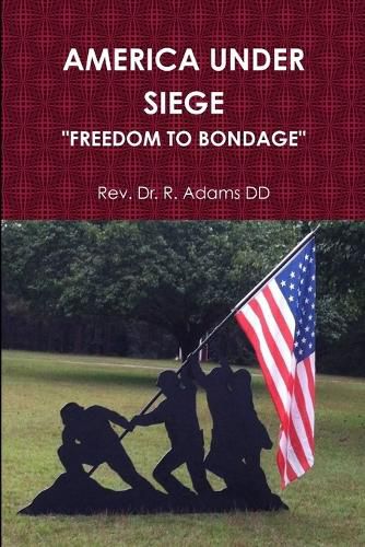 Cover image for America Under Siege