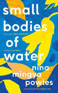 Cover image for Small Bodies of Water