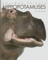 Cover image for Hippopotamuses