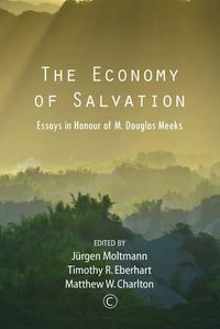 Cover image for The Economy of Salvation: Essays in Honour of M. Douglas Meeks