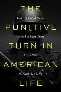 Cover image for The Punitive Turn in American Life