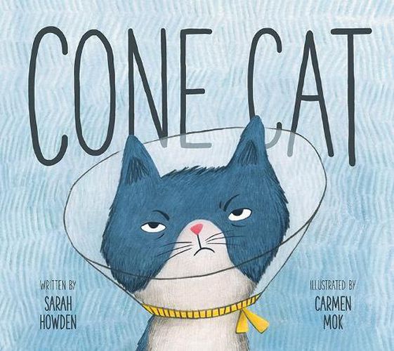 Cover image for Cone Cat