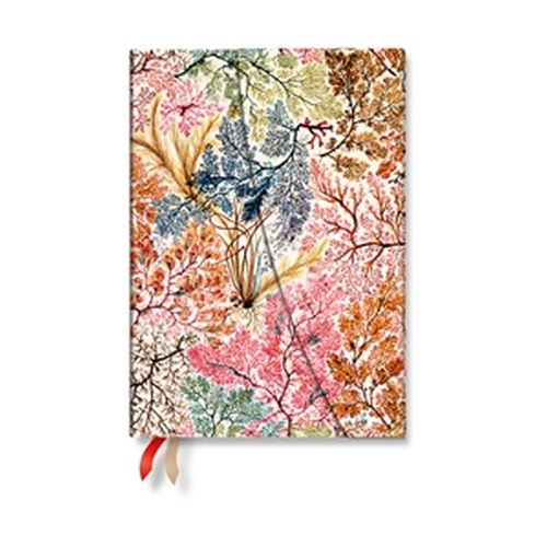 Cover image for 2027 Anemone (William Kilburn) Midi 12-Month Hardcover Dayplanner (Wrap Closure) Horizontal