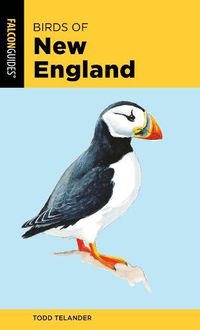 Cover image for Birds of New England