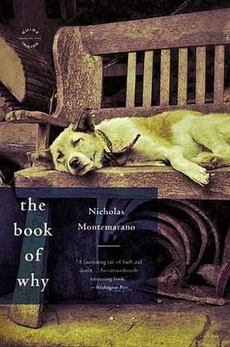 Cover image for The Book of Why