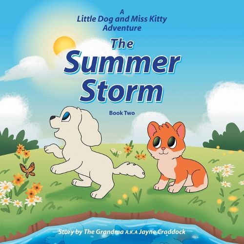 Cover image for The Summer Storm