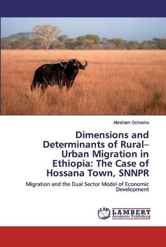 Cover image for Dimensions and Determinants of Rural-Urban Migration in Ethiopia: The Case of Hossana Town, SNNPR