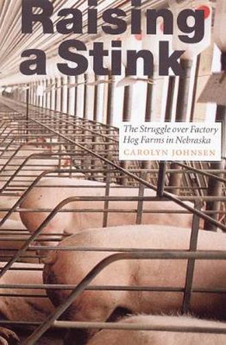 Cover image for Raising a Stink: The Struggle over Factory Hog Farms in Nebraska