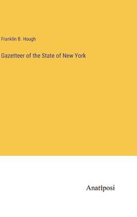 Cover image for Gazetteer of the State of New York