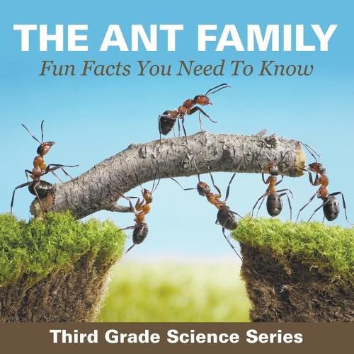 Cover image for The Ant Family - Fun Facts You Need To Know: Third Grade Science Series