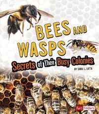 Cover image for Bees and Wasps: Secrets of Their Busy Colonies: Secrets of Their Busy Colonies