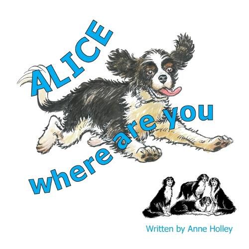 Cover image for Alice, Where are You?