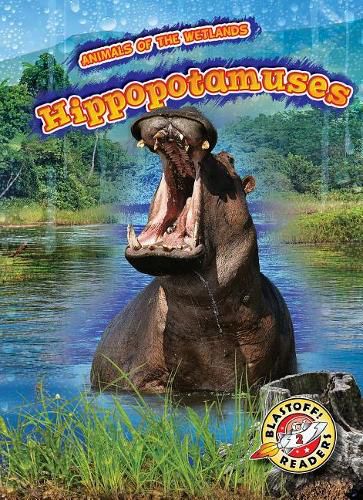Cover image for Hippopotamuses