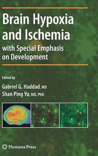 Cover image for Brain Hypoxia and Ischemia