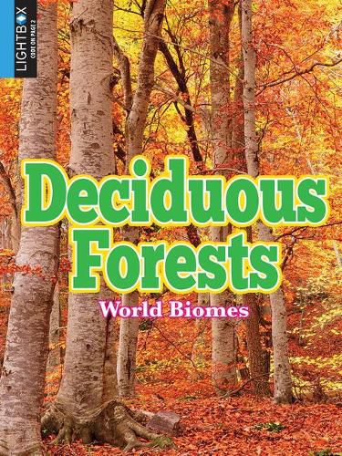 Deciduous Forests