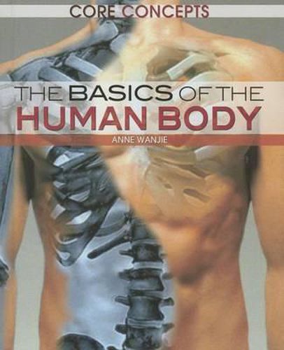 Cover image for The Basics of the Human Body